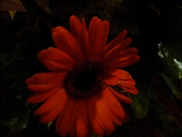 xochilt67's profile picture. MODA