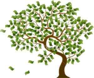 World's Number 1 Funding Advisors for Non Profits
Supporting projects in the UK, Europe, Asia, Middle East, Africa, Australia and the Americas.