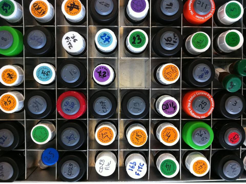 MrmmMaria's profile picture. 