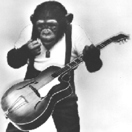 popzdad's profile picture. Silver-haired Tuesday night rock god. Paul McCartney like one of my tweets!