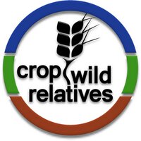 Crop Wild Relatives (@cropwildrelativ) 's Twitter Profile