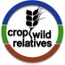 Crop Wild Relatives (@cropwildrelativ) Twitter profile photo