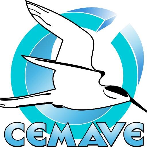 Twitter oficial do Centro Nacional de Pesquisa e Conservação das Aves Silvestres - CEMAVE