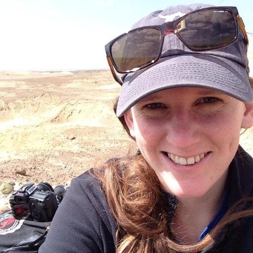 iamlilh's profile picture. Paleo informatics. Among other things.