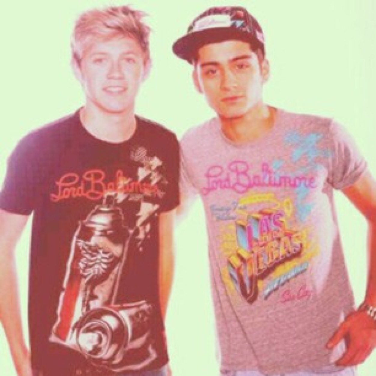 The names Zayn and Niall. 20 years old and loves to have fun. Zayn is taken by Dylan and Niall is taken by Hazza, James is taken by Harry and kinda nerdy #Gay