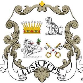 The UK's ultimate luxury pet furniture maker. Handmade in the UK. Only available at Harrods, London or via our website http://t.co/6BXfilLbfK