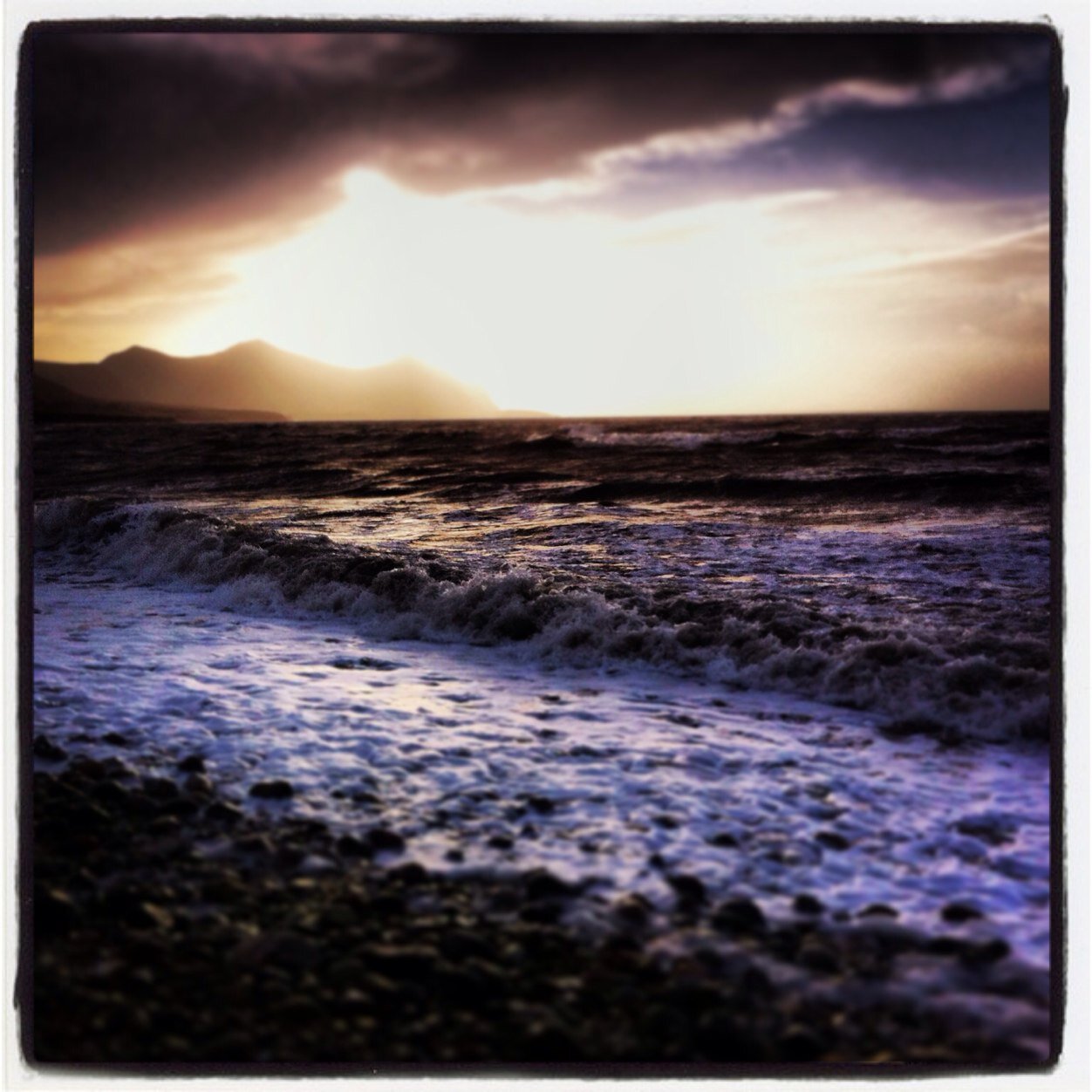 Evans1Luned's profile picture. 