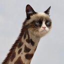 Fiona Todd - @FionaTodd6 - Twitter