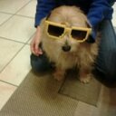 Catherine Séverin  - @fc542553 - Twitter