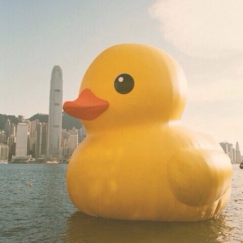 a_gain's profile picture. 