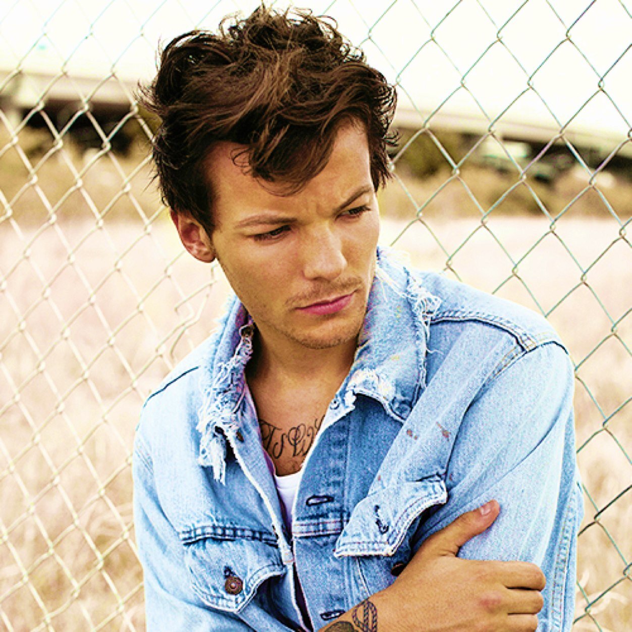 enjoy the rollercoaster and #AskTheWanted//love this fandom x3//Louis girl & Larryshipper