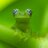 formanrainfrst's profile image