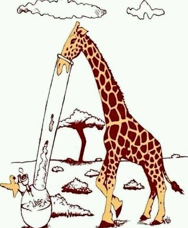 hi_r_satellite's profile picture. 