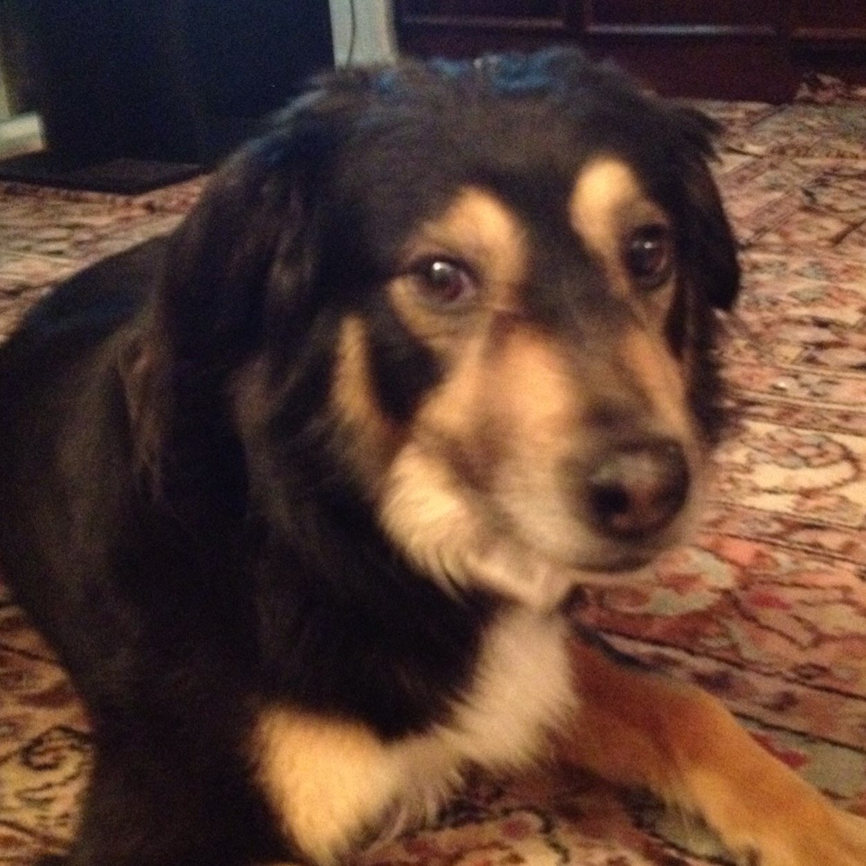 timm1978's profile picture. 