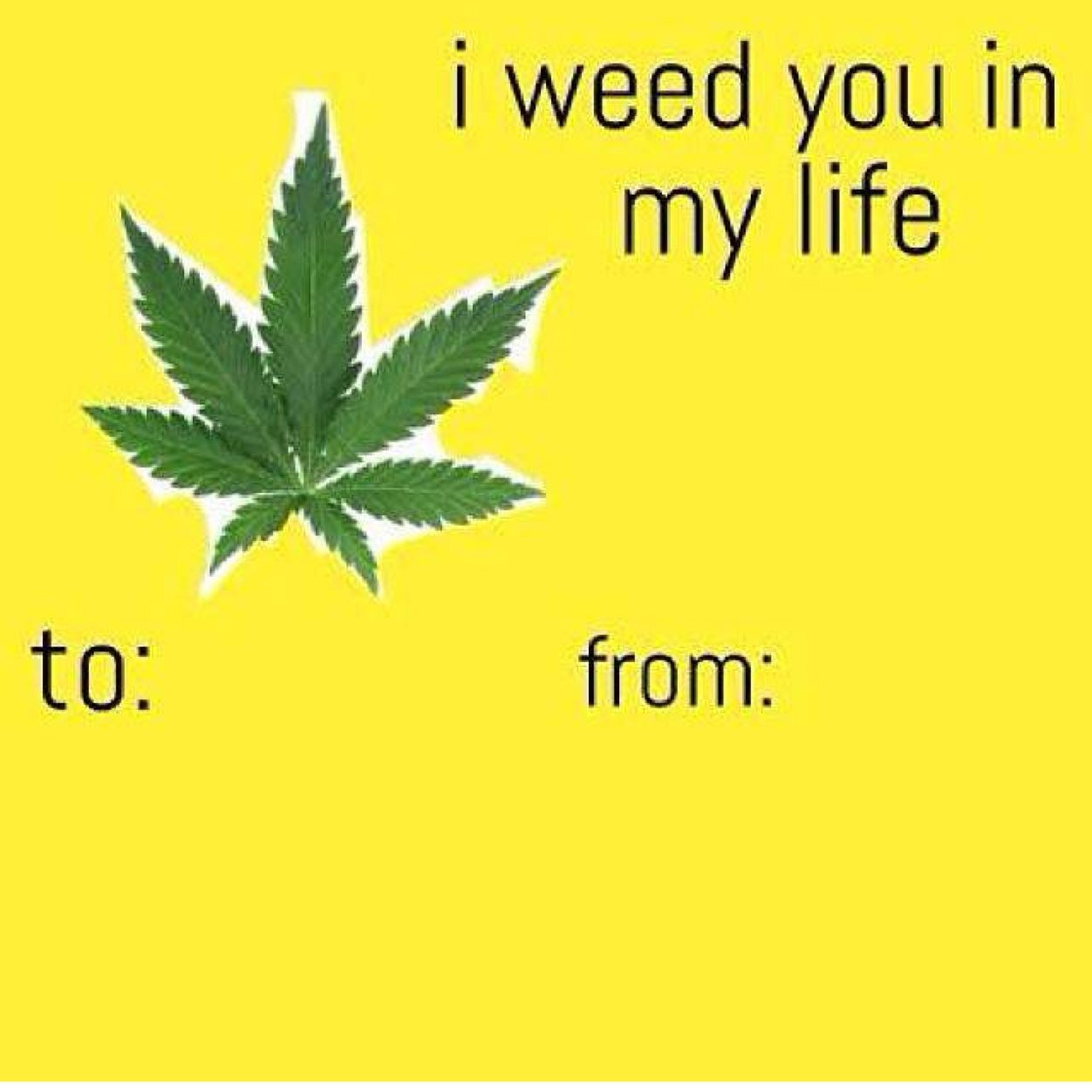 holdingon_xxo's profile picture. ⚓highlife⚓️