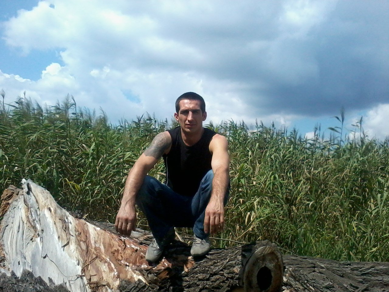 viktorsh57's profile picture. 