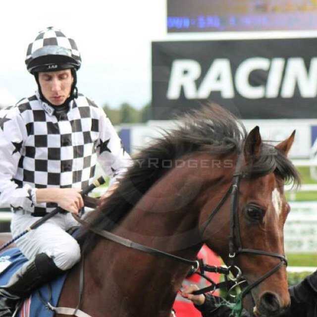 james33837096's profile picture. 