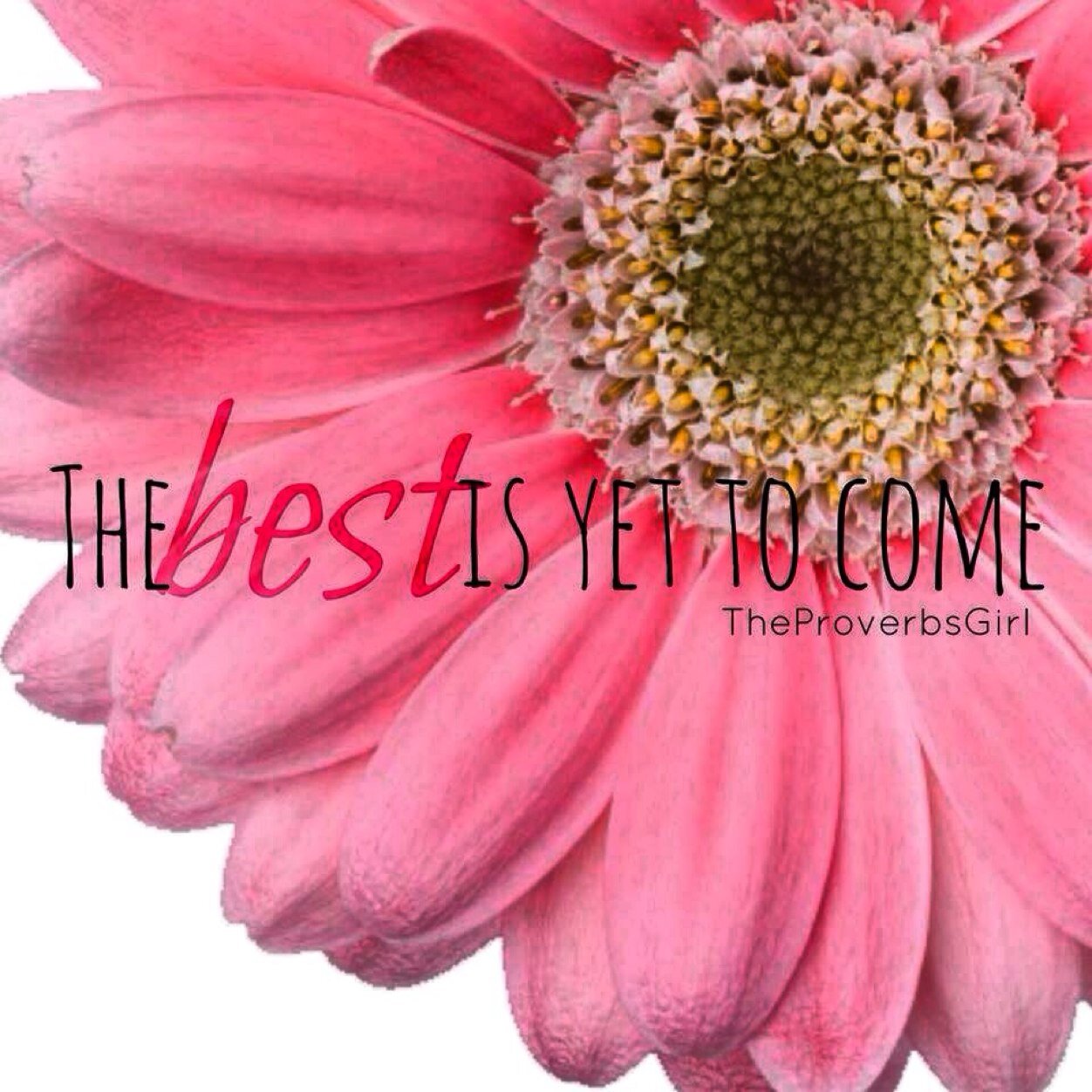 julesjoneslove's profile picture. 