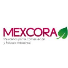 MEXCORA Profile Picture