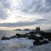 Viva Mazatlan (@vivamazatlan1) Twitter profile photo
