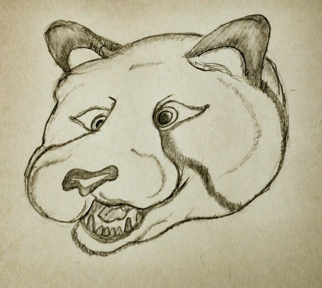 tycerno's profile picture. . 😄 I love animal onesies and fursuits. I am demisexual and ASD disorder but hardworking and hyperactive. I love listening to music, still virgin, Hungarian