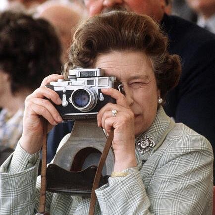 sarahjesson's profile picture. Dangerously lanky.