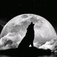 . . . und zurück in ihr wieder heulend auf dem Mond . . .