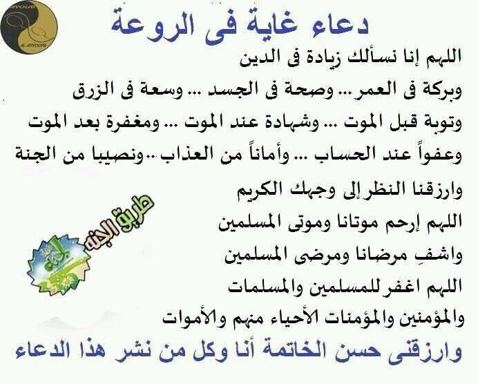 حالمه