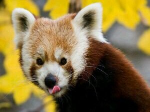 soy luchadora, me gusta escribir, pero lo q mas me gusta es hacer happy a la gente :D  seguidme si quereis un besito