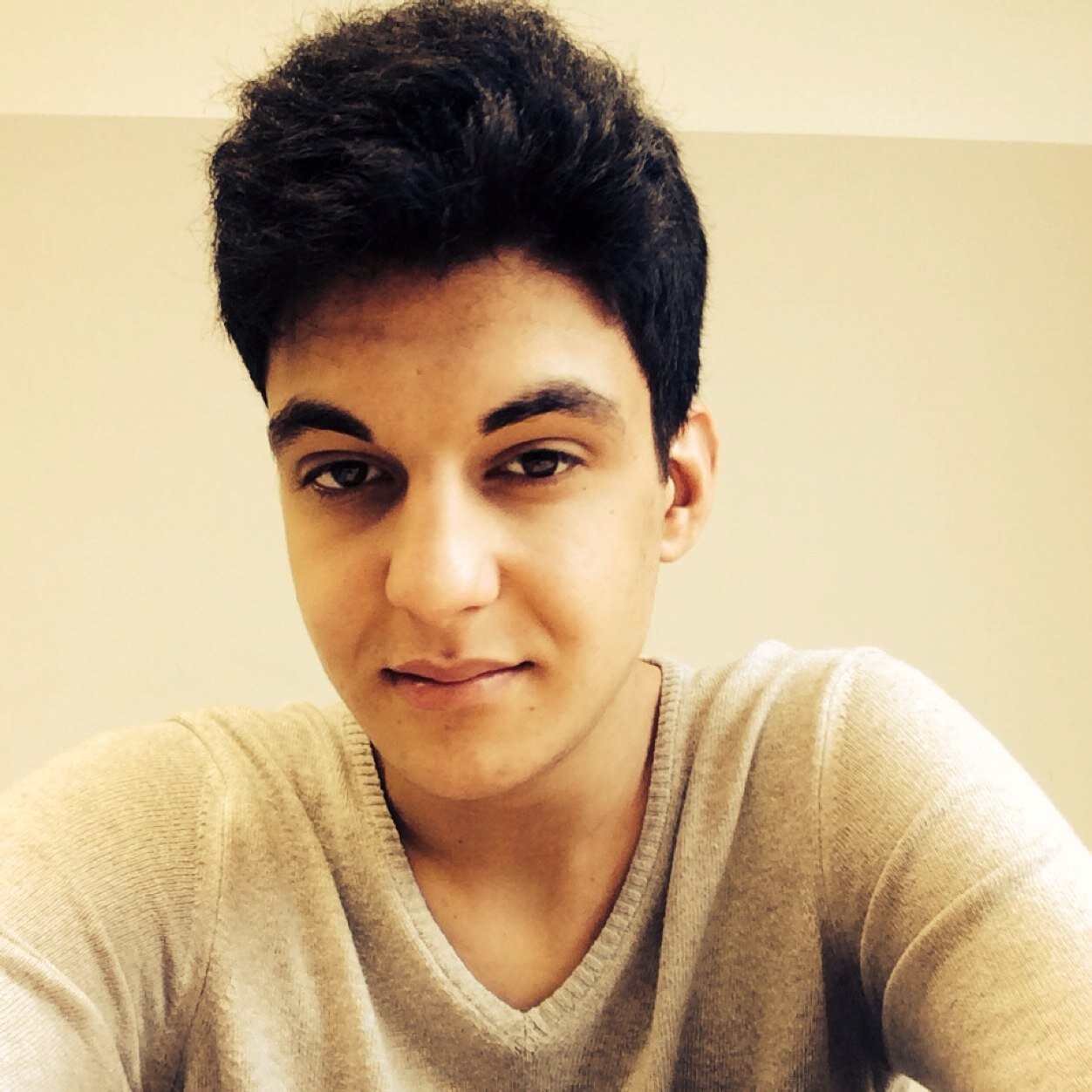 LjudvigV's profile picture. 