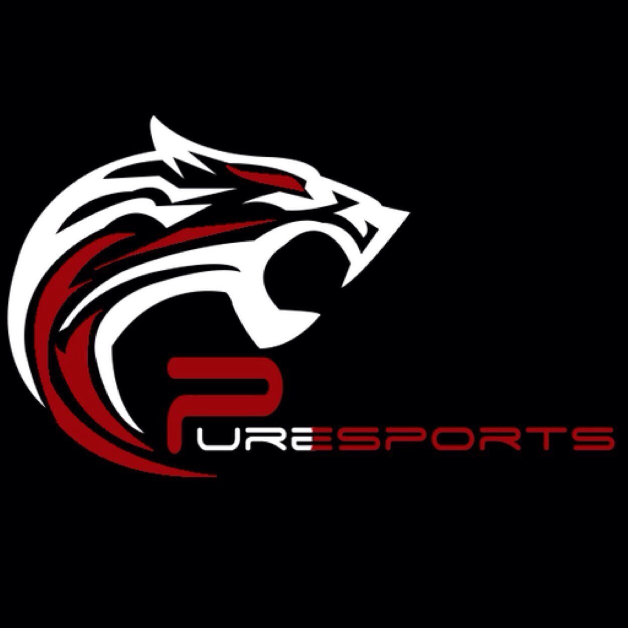 Captain of @PureNation_ | The duo : @Pure_Stability | YouTube Channel http://t.co/bgSbFNTRDy