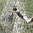 Timol21's profile image