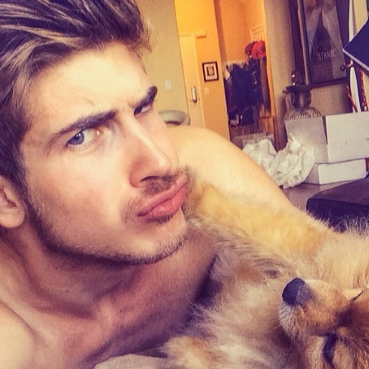 Multiple fangirls fangirling over Joesph Michael Graceffa on one account =P