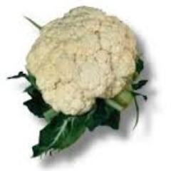 DanealaDanella's profile picture. professora de educação física que ama couve flor e ta de bem com vida