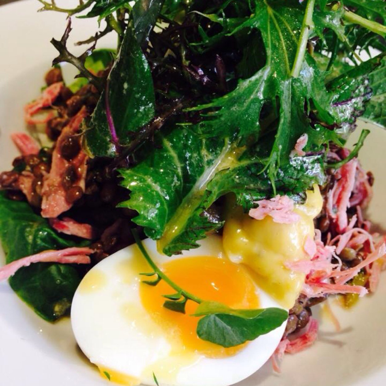 WhiteScarletts's profile picture. Scarlett's Garden is a seasonal cafe and tea garden. Serving delicious 'Food Finery' from the mediterranean with an abundance of more local fayre.