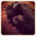 Wanda (@vinda128) Twitter profile photo