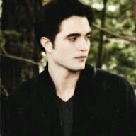 Vampire. I like to hunt, but not humans.