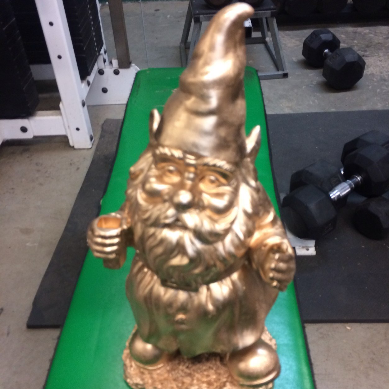 Just your average weight liftin gnome. Love my bubs Rakeem and Leroy. FHS is my team. Follow a bub.