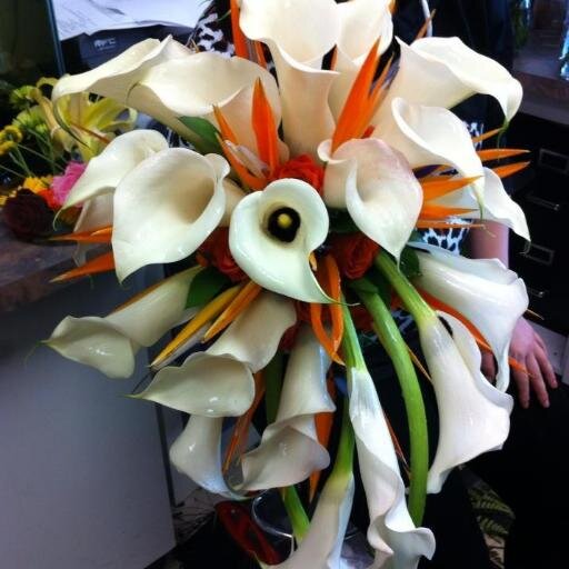 Sherwoodfloral's profile picture. Fresh flowers, balloons, bears and gifts.