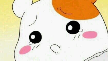 minxninez's profile picture. 