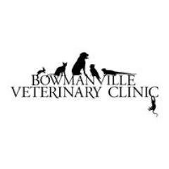 At Bowmanville Veterinary Clinic we are happy to treat dogs, cats and exotic animals. We always welcome new patients! Stop by for a tour: 2826 Hwy 2