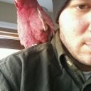 Ross Pitman - @PitmanRoss - Twitter