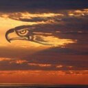 Michael Field - @mpfield165 - Twitter