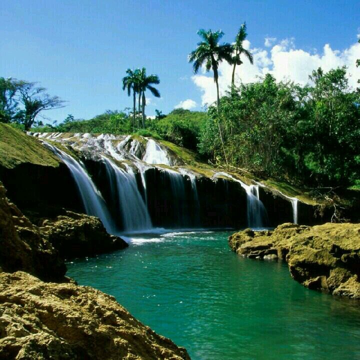 bojangaziz's profile picture. 