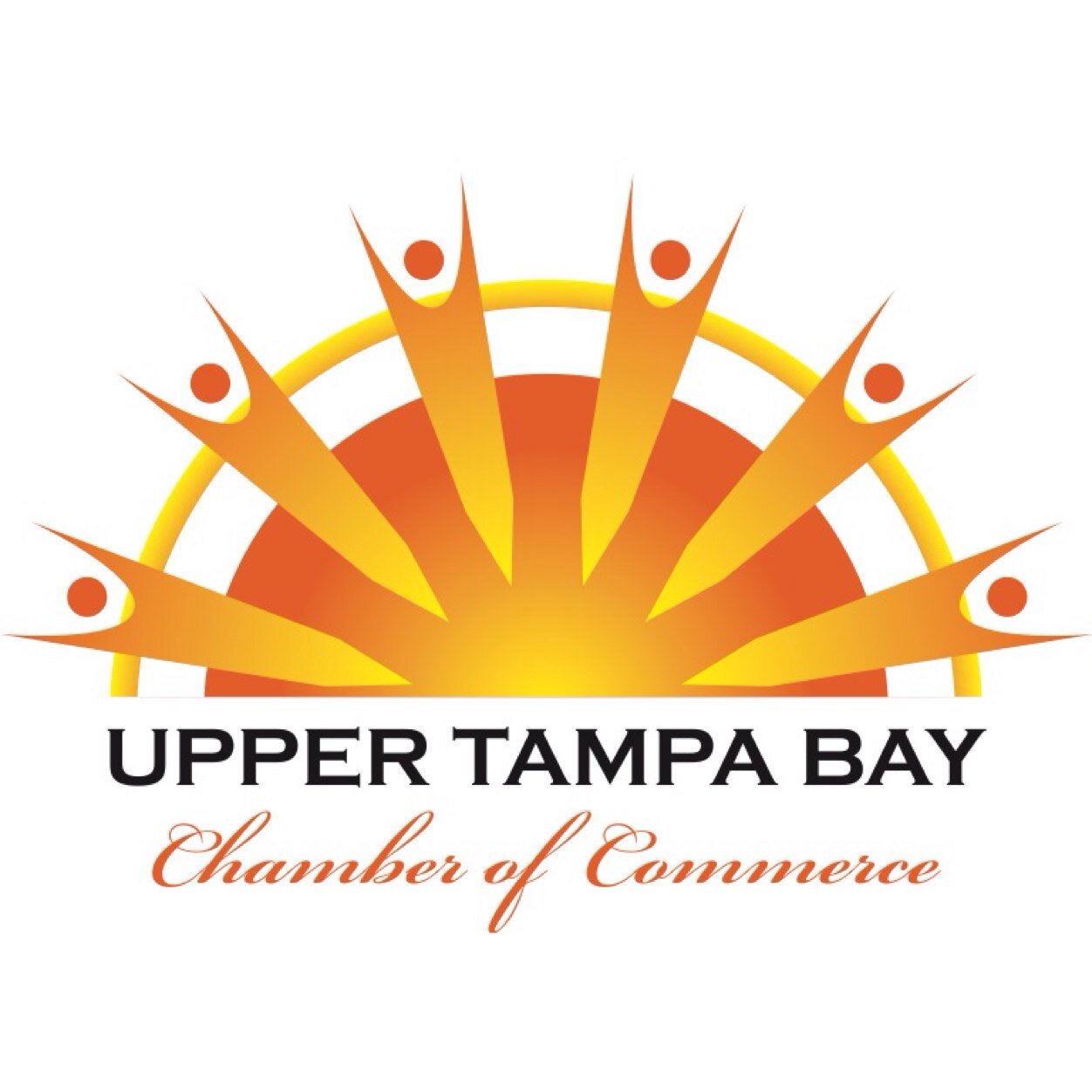 Upper Tampa Bay Chamber of Commerce: Oldsmar, Town & Country, Westchase, & Citrus Park. Right across the Oldsmar City Hall!