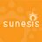 Sunesis Consulting