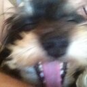 Ben Mount - @BenMount - Twitter