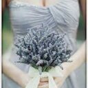 Addison Lane Events - @Events_Addison - Twitter