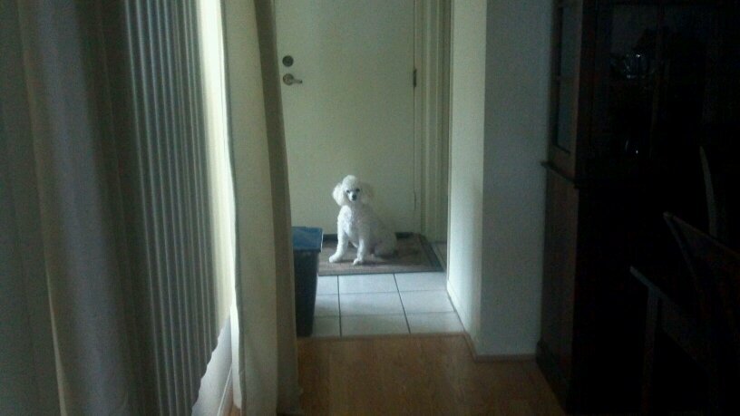 MsCorbell's profile picture. American Literature, San Diego, movies, family, travel, chocolate