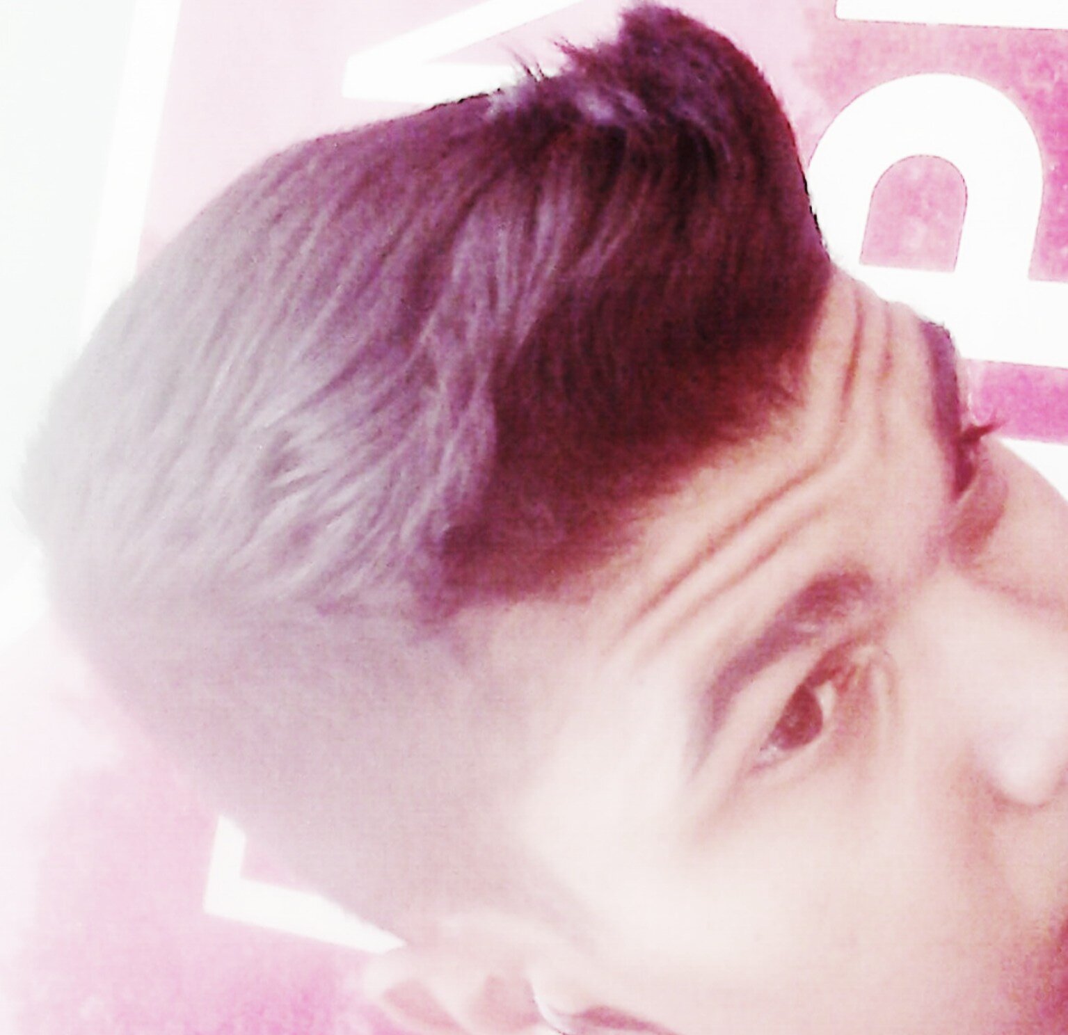 Sigam me os bons